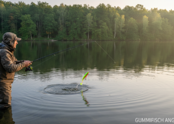 Gummifisch angeln
